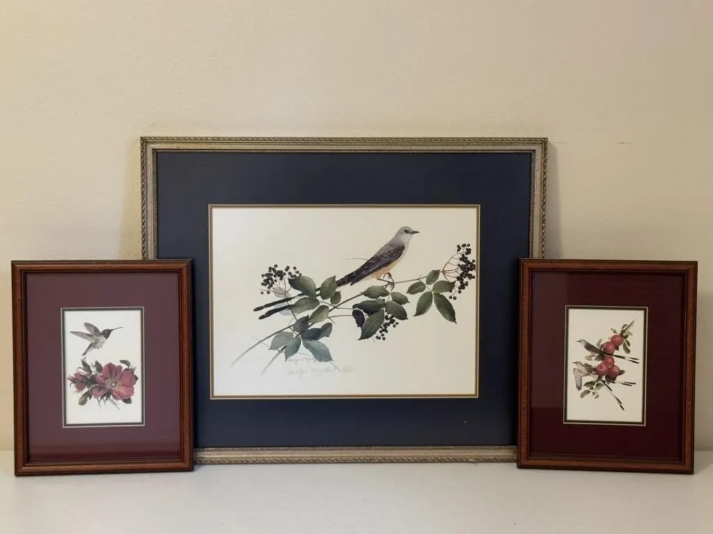 Scissor-Tailed Flycatcher & Hummingbird Prints