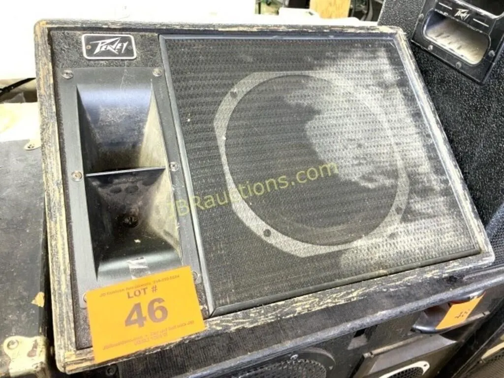 PEAVEY MODEL 112HS MONITOR