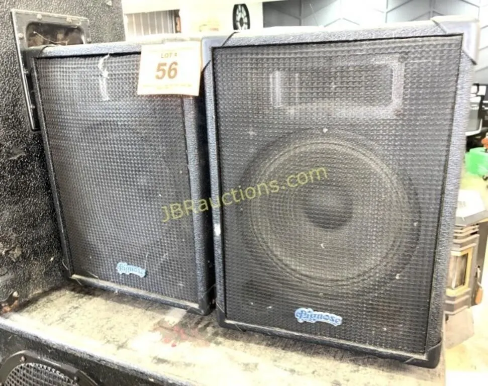 PIGNOSE MODEL PAS10 PAIR OF SPEAKERS