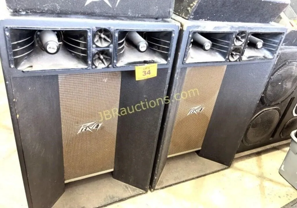 PEAVEY C-600 NETWORK SPEAKERS AS A PAIR