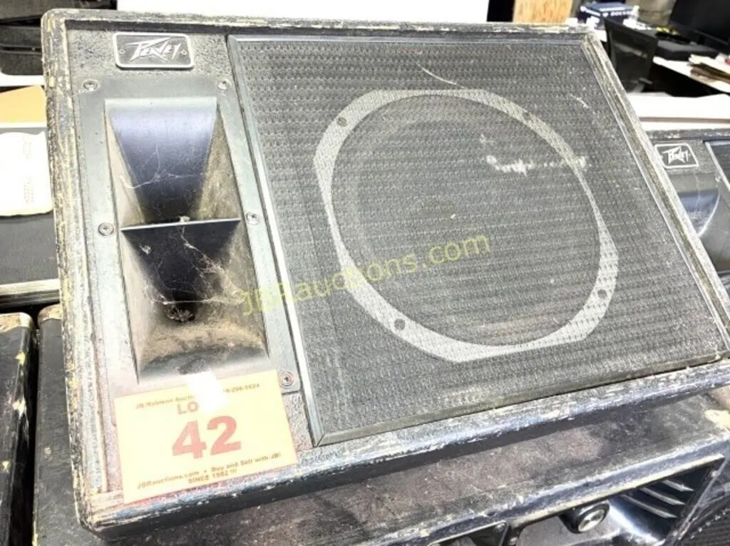PEAVEY MONITOR 65 WATTS MODEL 112HS