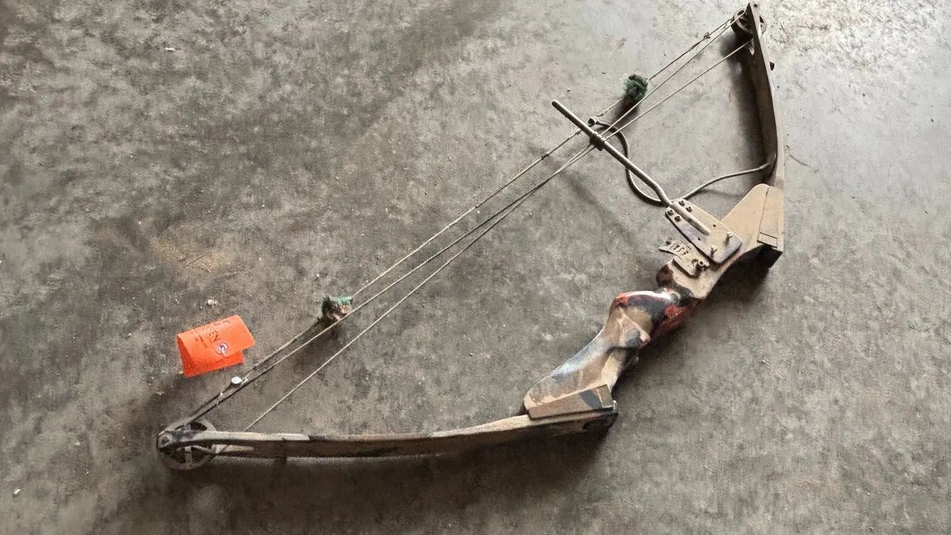 Browning Compound Bow