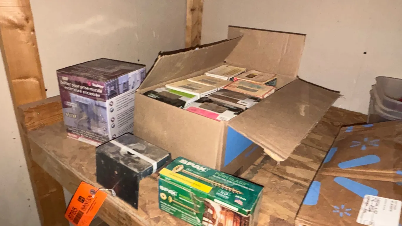 Assortment of Screws and Deck Bolts