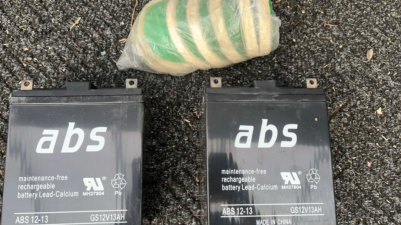 ABS 12-13 Rechargeable Batteries and Packaged Green Discs