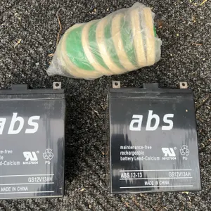 ABS 12-13 Rechargeable Batteries and Packaged Green Discs