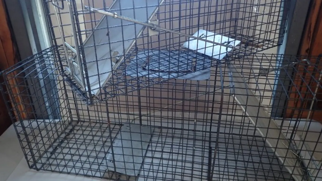 Wire Mesh Live Animal Traps