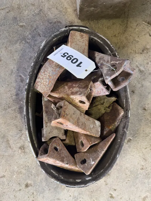 Bucket Teeth