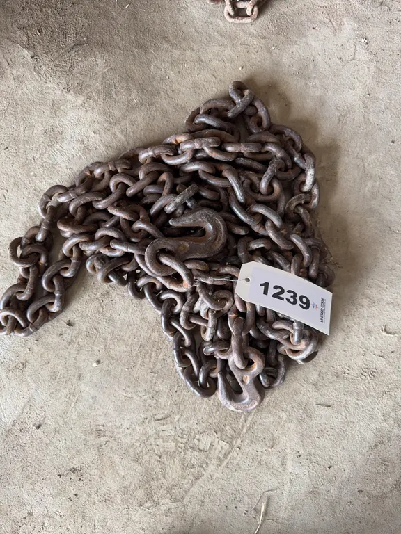 Heavy Log Chain