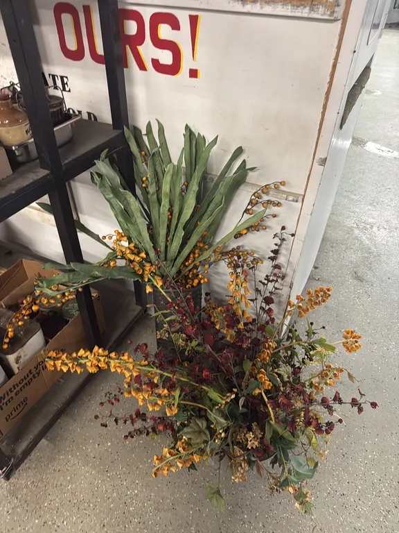 Decorative Plants