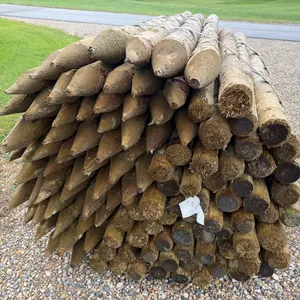 6' x 3"-4" Pressure Treated Fence Posts