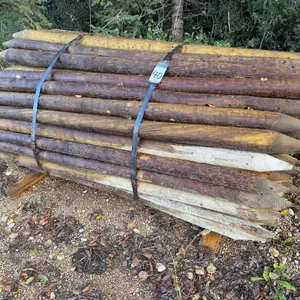 7' x 3"-4" Pressure Treated Fence Posts
