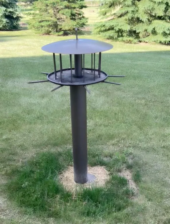 Custom made Iron Bird Feeder