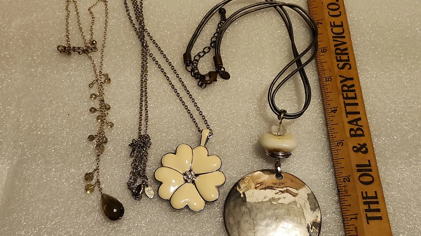 3 Necklaces-Chicos, Lia Sophia, Etc.