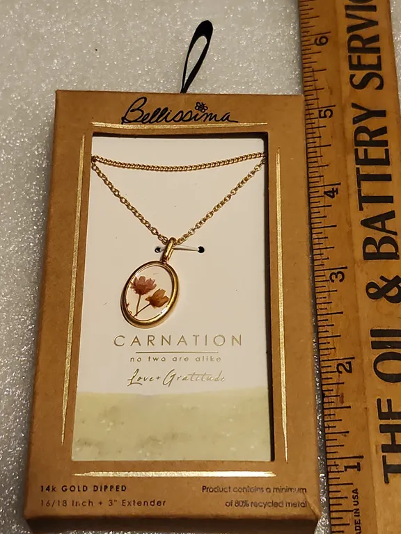 Bellissima Carnation No 2 Are Alike Love Gratitude Necklace