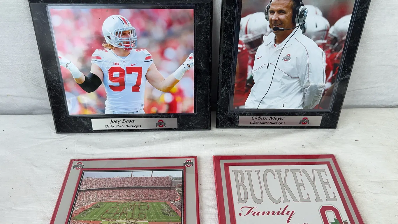 OSU Wall Art