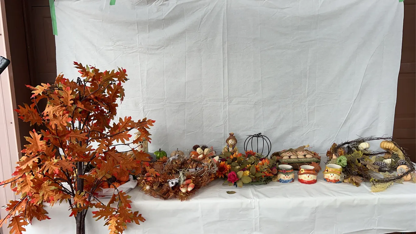 Fall Decor Lot
