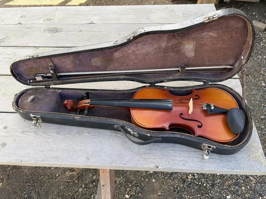 Homer Violin - Missing a String