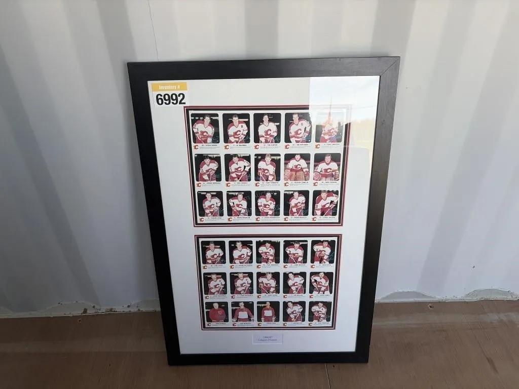 1986-87 Calgary Flames Ducks Unlimited Frame