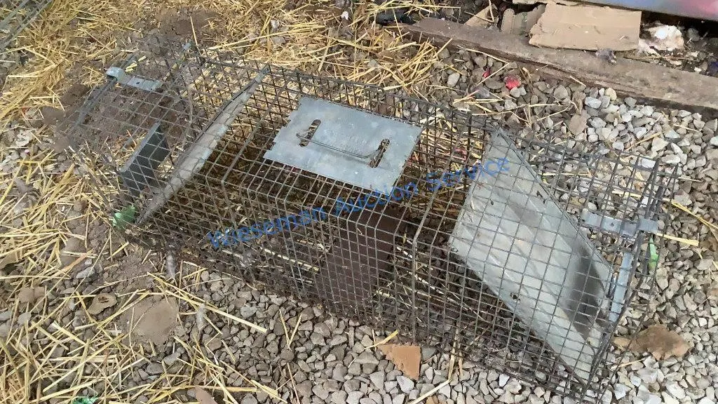 ANIMAL TRAP