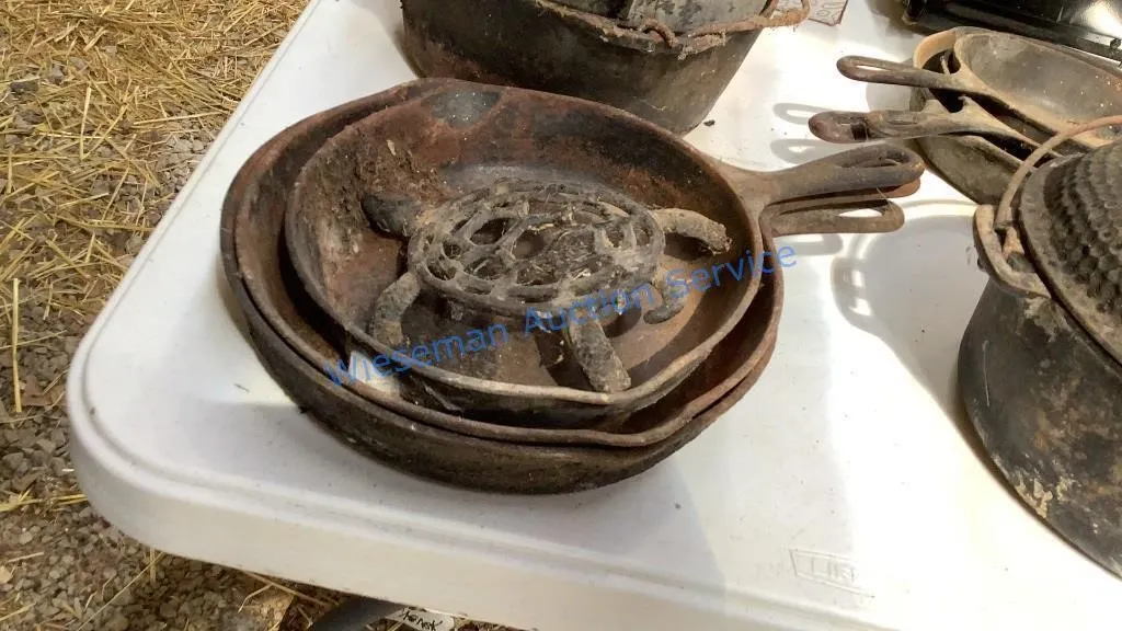 CAST IRON SKILLETS AND TURTLE