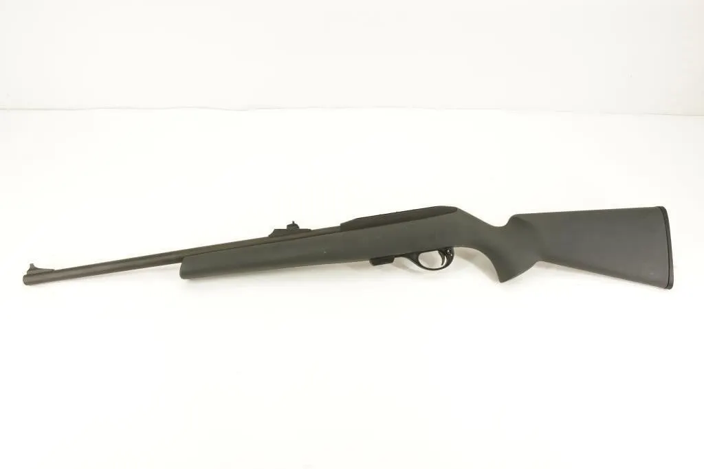Remington 597 .22 LR