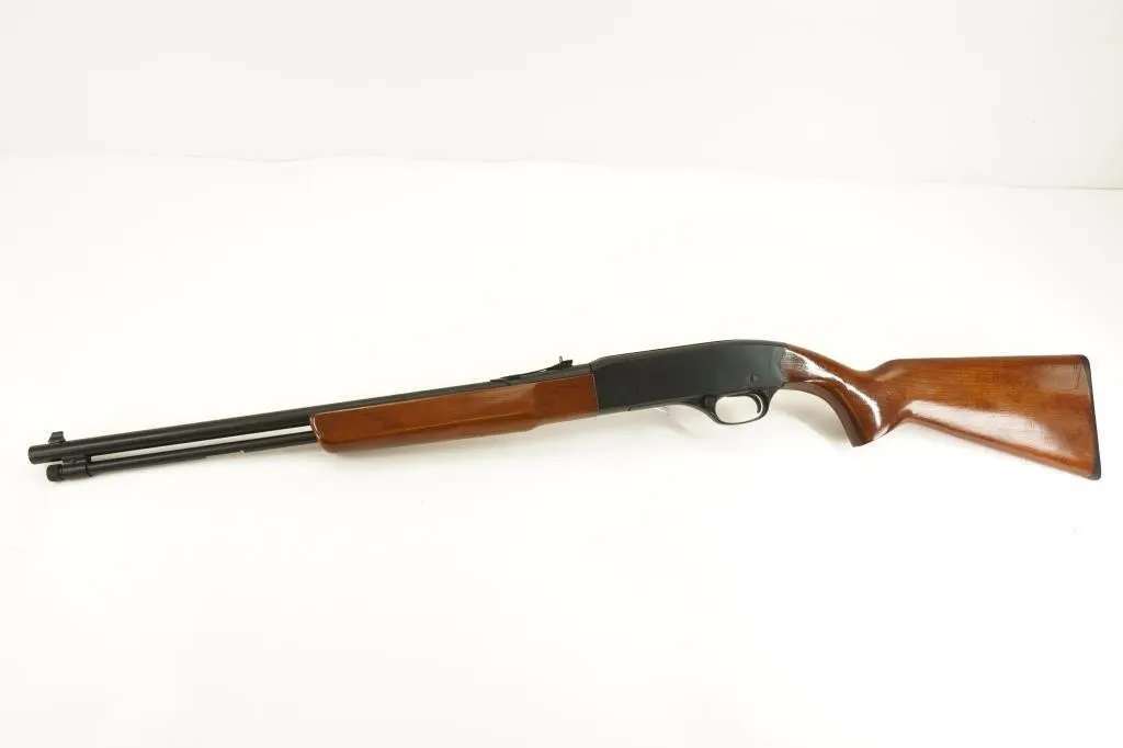 Winchester 190 .22 LR