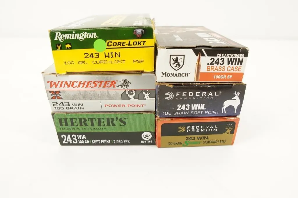 Misc Brands 120 Rounds Mixed .243 WIN