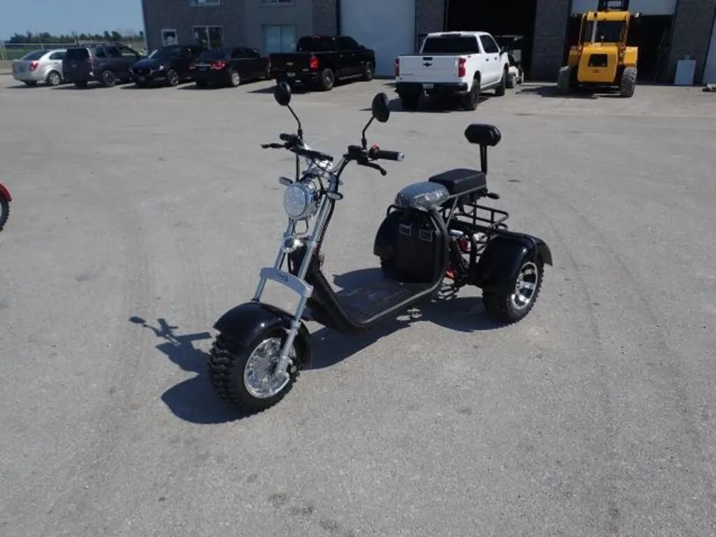 2024 Shansu YouPi 60V Electric Tricycle R36CP3010R