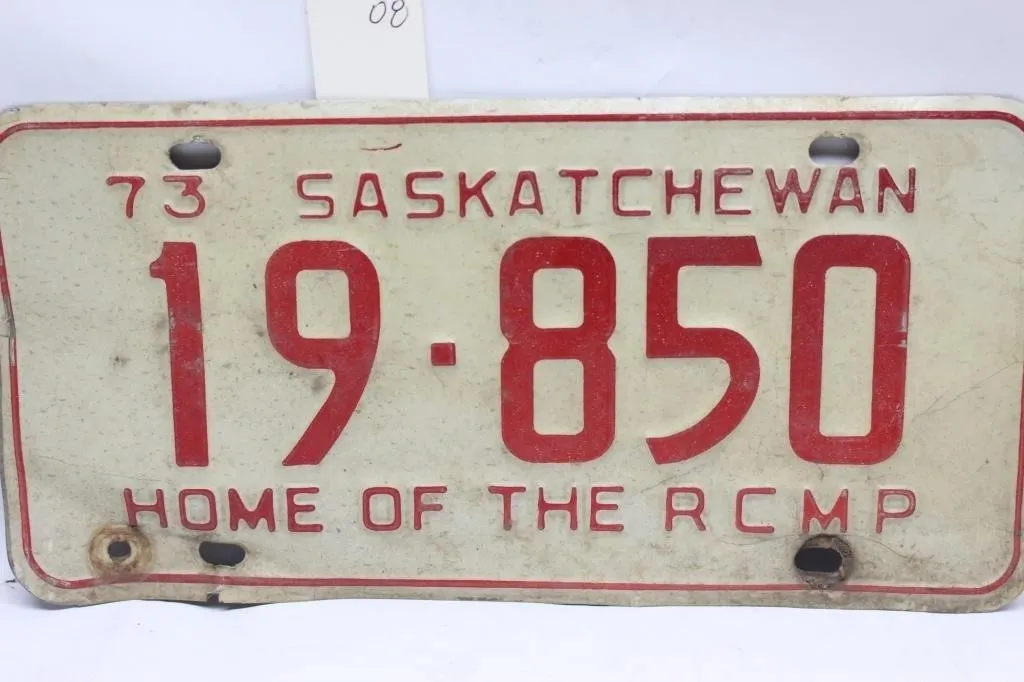 1973 Saskatchewan License Plate 19-850