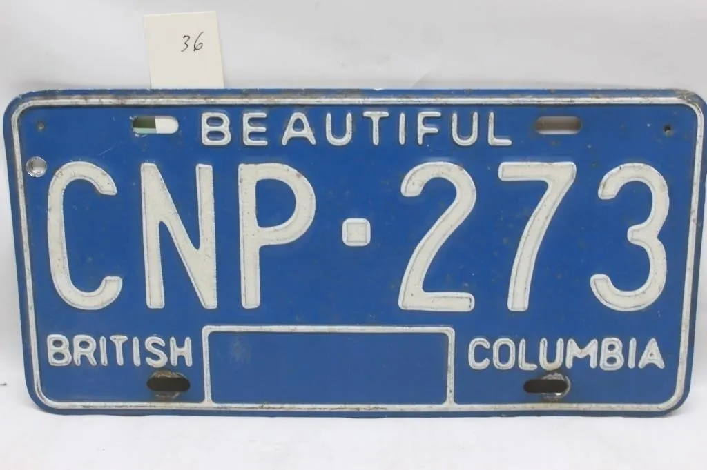 British Columbia License Plate CNP-273