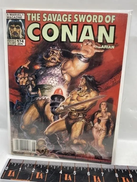 Savage Sword of Conan #174 Marvel Magazine (Jun)