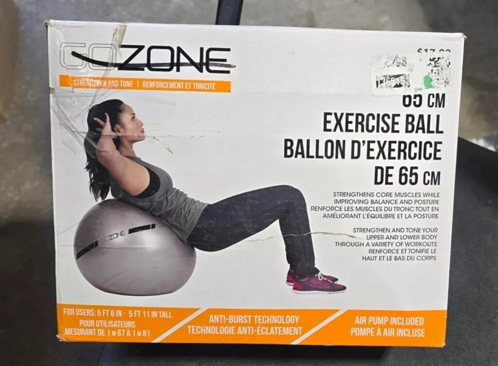 GoZone Exercise Ball