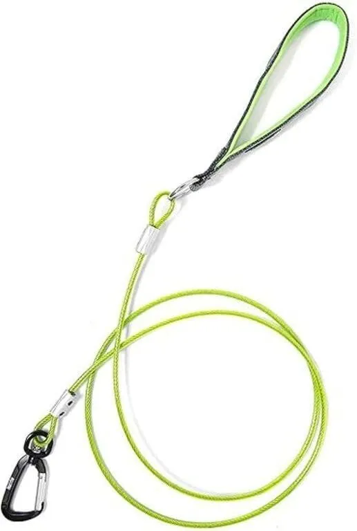 Mighty Paw Chew Proof Dog Leash - Six Foot Metal e