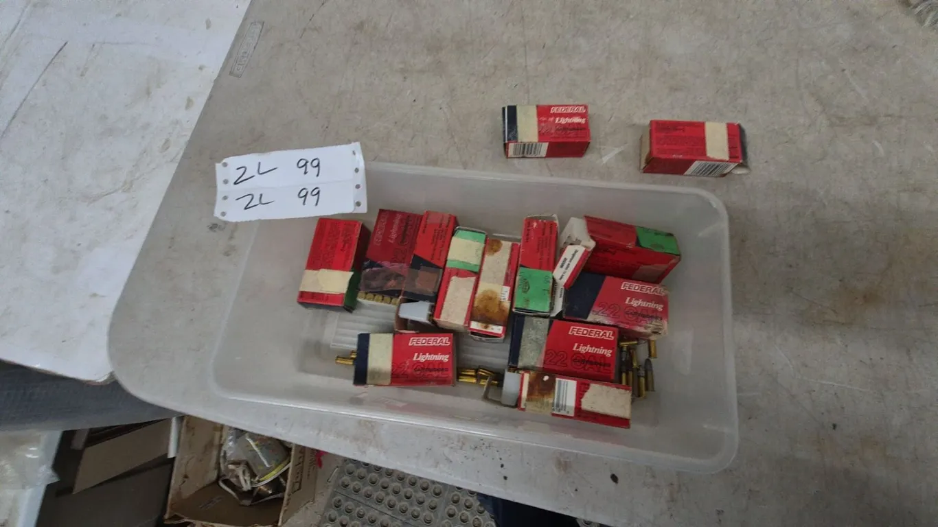 Federal Lightning .22 Caliber Cartridges, 600+ Rounds