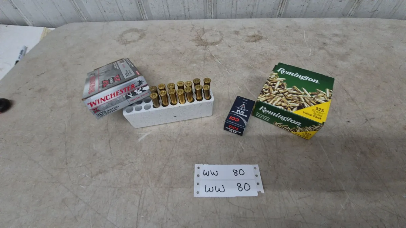 .22 LR Ammunition, 575 Rounds, and .303 British, 14 Rounds