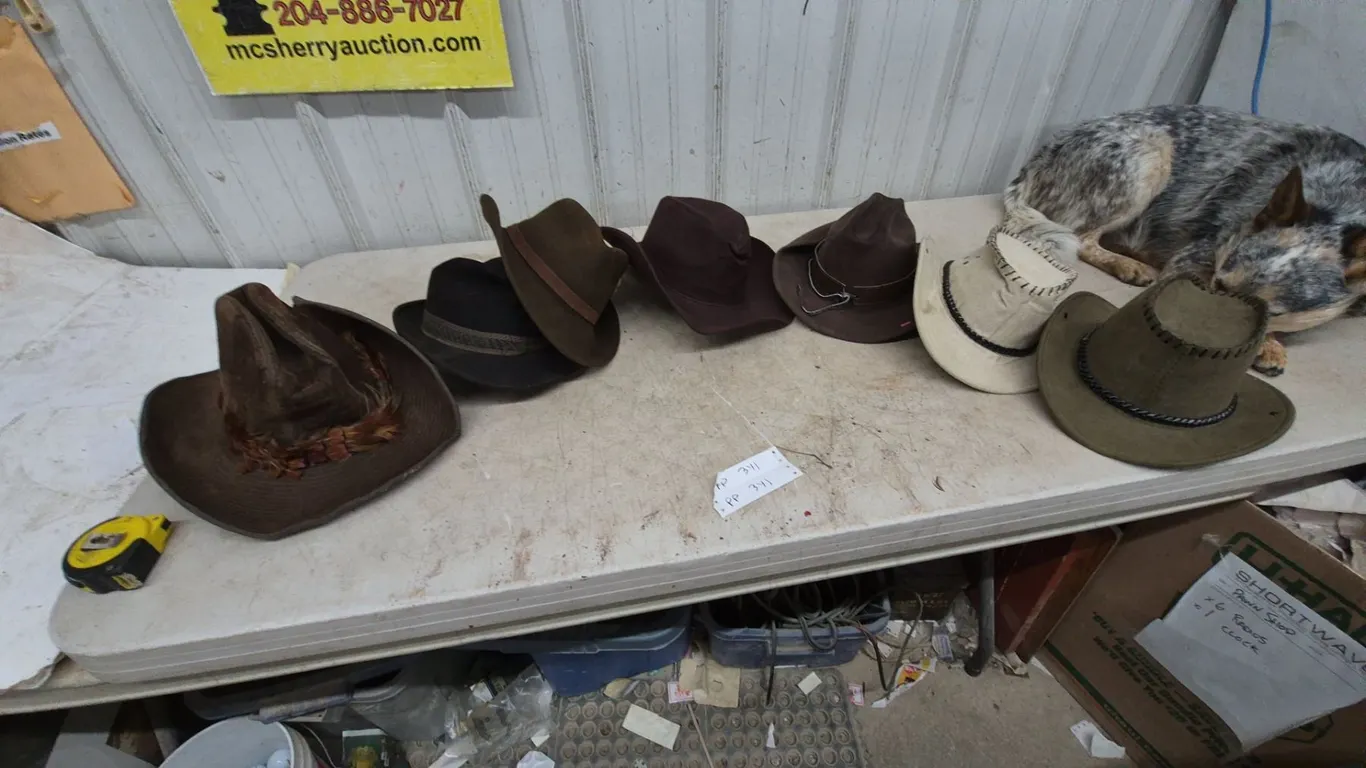 Assorted Cowboy and old timers Hats, 8 Pieces