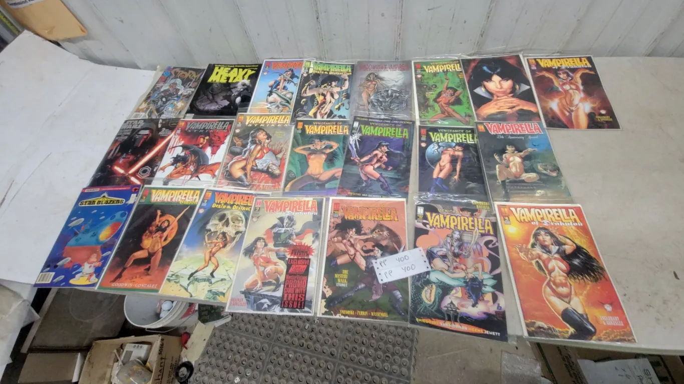 22 Vampirella Comics, Star Wars, Heavy Metal, and Storm