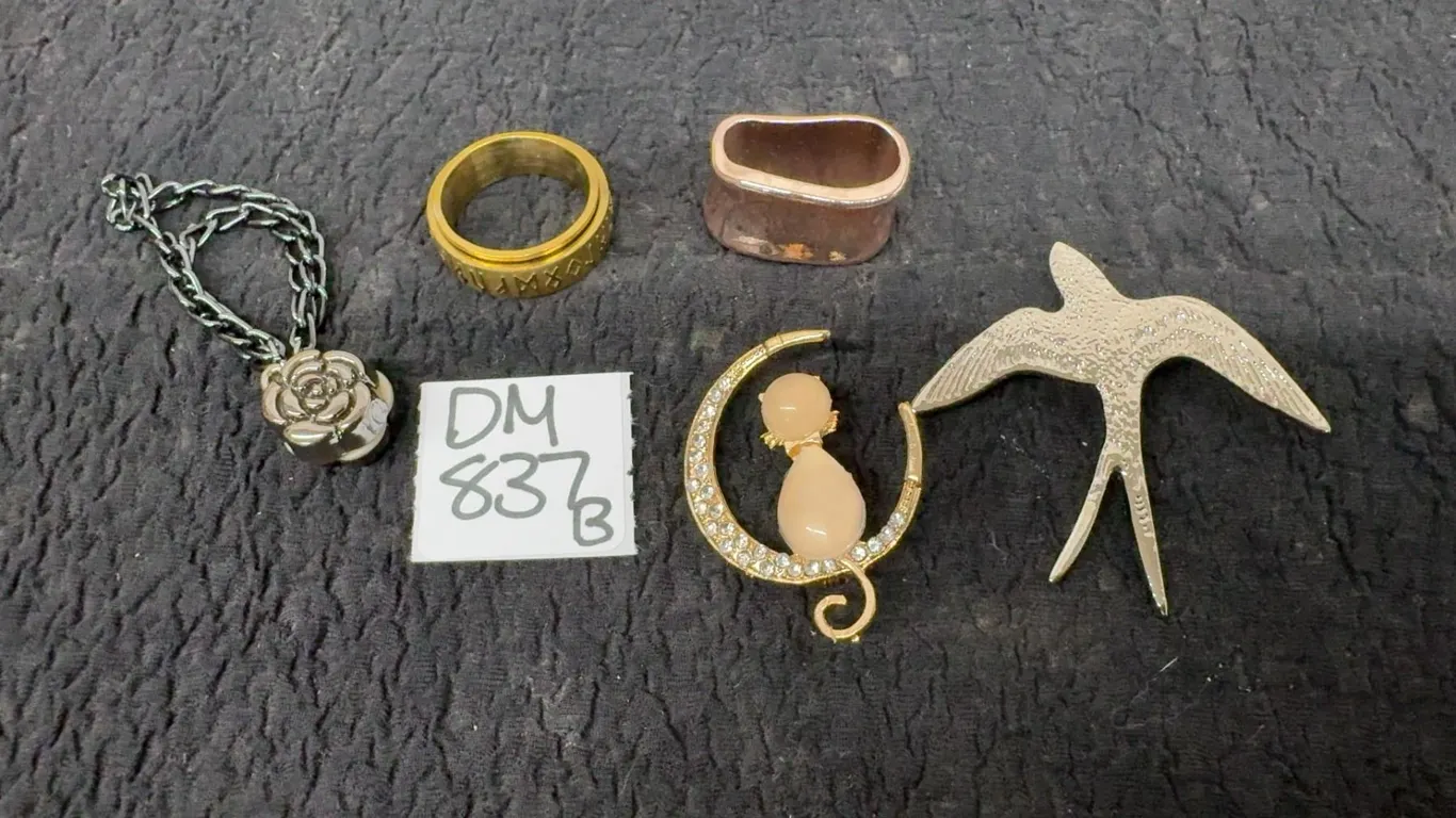 2 Brooches: Gold-Tone Cat on Crescent Moon, Bird and Rose Magnetic Clip, Ring and copper oval