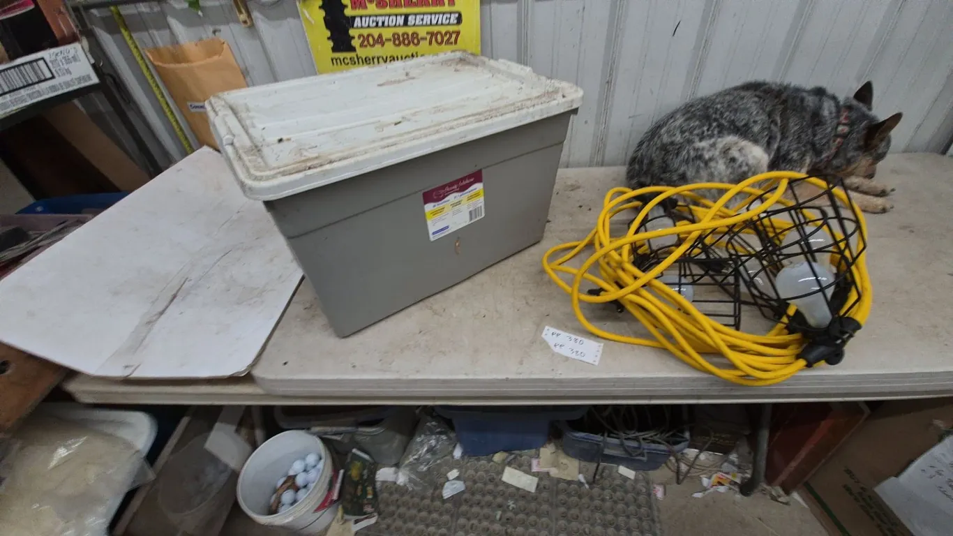 Storage Solutions 21.1 Gallon Storage Tote and jobsite construction Lights with Caged Bulbs