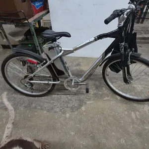 Schwinn Electric Bicycle, Silver and Black, with Rear Rack and Charger