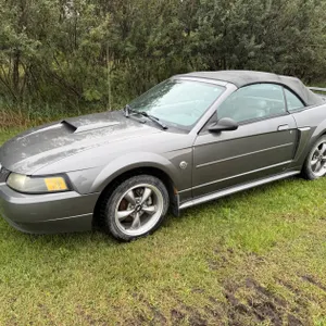 2004 Ford Mustang 40th Anniversary Convertable Sports Car