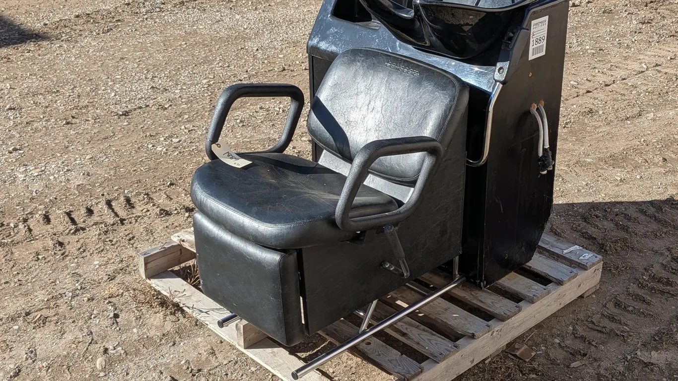 Salon Chair