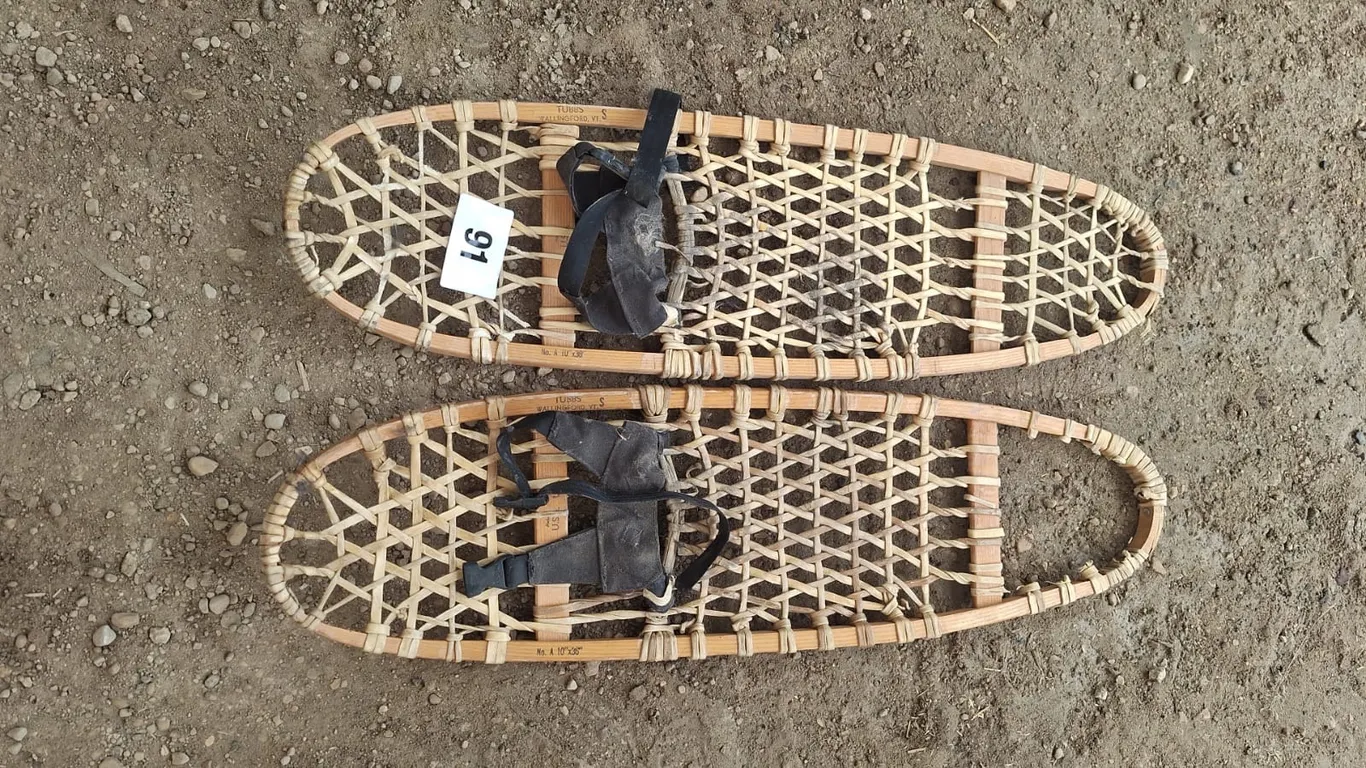 Snow shoes