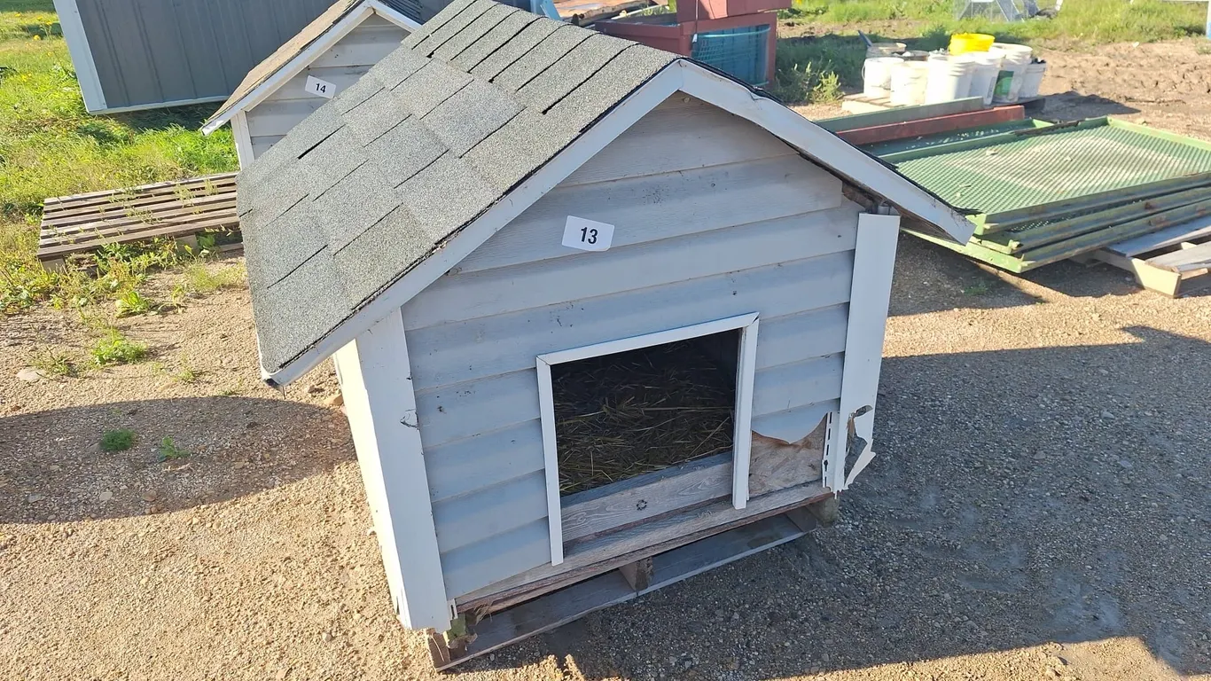 Dog house with siding, 42"x42"