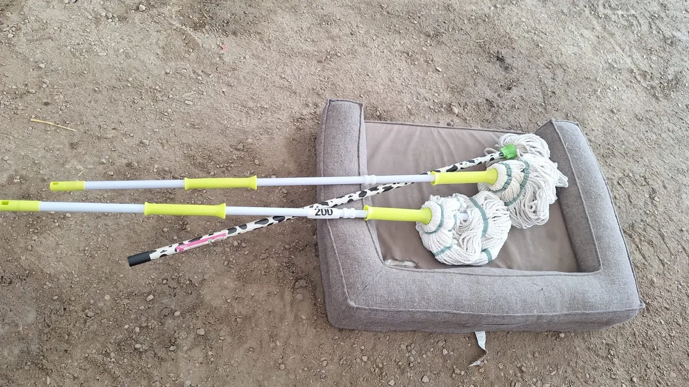 3-Mops and dog bed