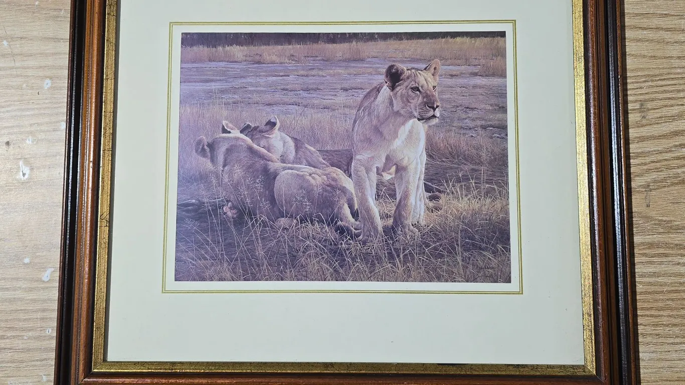Robert Batman - "Lions at Dawn" (18.25"x 16.5"
