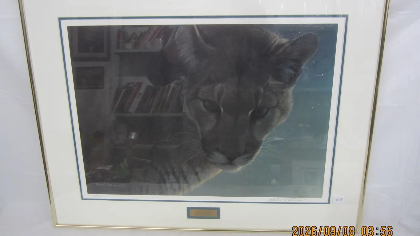 1025. Robert Bateman Star Light Cougar Signed and Numbered Print with a Certificate of Authenticity
