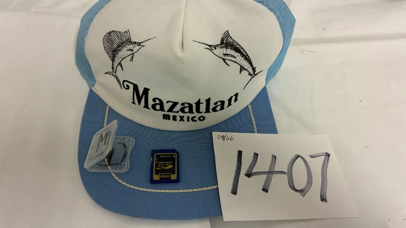 2GB SD Card, Hat