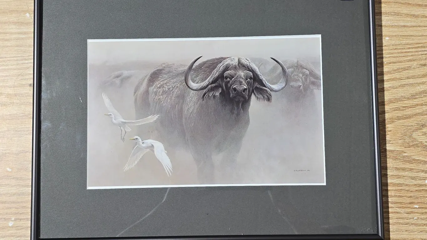 Robert Batman - "Water Buffalo" (12.25"x 16.25")
