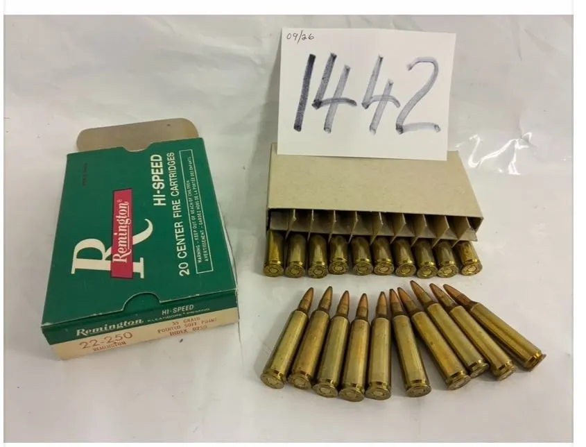 (20) Remington Cartridges .22-250 cal 55gr SP **PAL Required